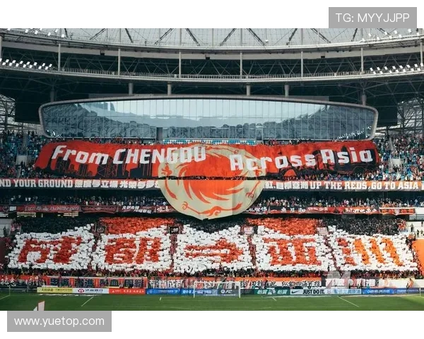 成都排球队的拼搏历程与世界杯预选赛的梦想追逐之路