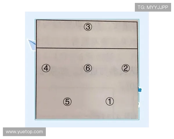 杭州排球队的战术调整与球员表现的深度分析与反思 杭州排球队的战术调整与球员表现的深度分析与反思