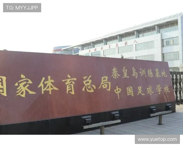 武汉足球队耐力争议引发热议球迷与专家各执己见的背后故事