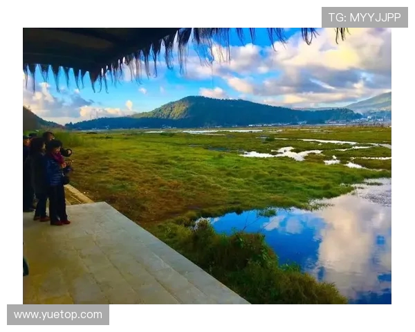 武汉飞盘队的蜕变与成长:一段激情与坚持的纪实之旅 武汉飞盘队的蜕变与成长:一段激情与坚持的纪实之旅