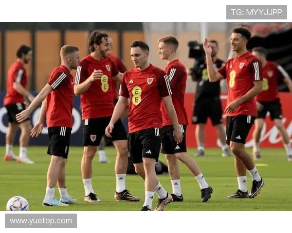 土耳其与巴西友谊赛精彩对决展现足球魅力与团队精神