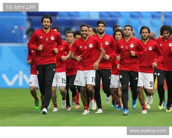 塞内加尔与韩国激战正酣实况回顾与精彩瞬间分析