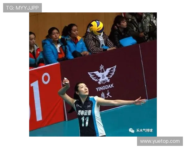 从零起步掌握排球战术全解析助你成为场上高手