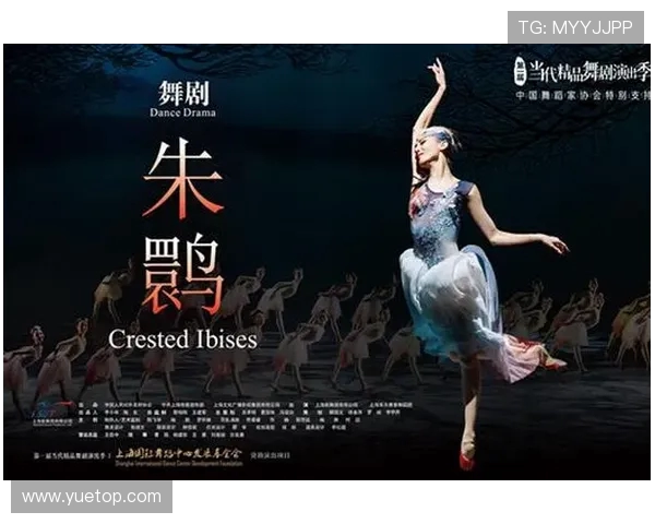 成都街舞队运营模式解析与发展趋势探讨